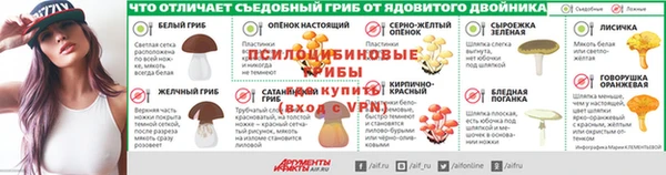 ГАЛЛЮЦИНОГЕННЫЕ ГРИБЫ Каменка