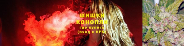 ГАЛЛЮЦИНОГЕННЫЕ ГРИБЫ Каменка