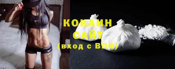 ГАЛЛЮЦИНОГЕННЫЕ ГРИБЫ Каменка