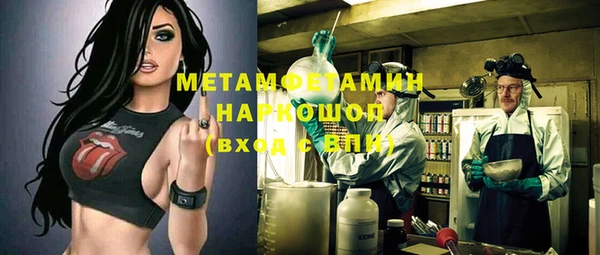крисы Зеленокумск