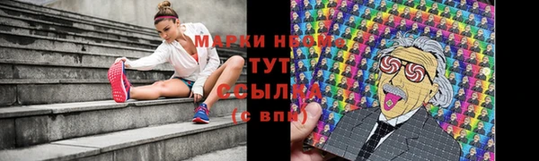 не бодяженный Каменногорск