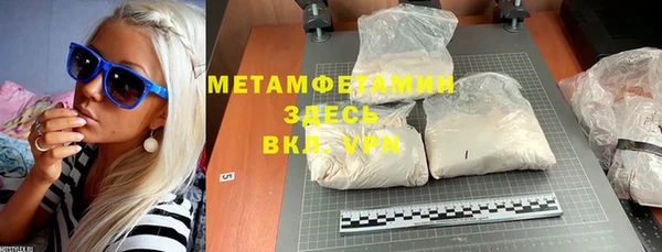 ГАЛЛЮЦИНОГЕННЫЕ ГРИБЫ Каменка