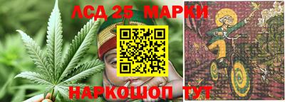 сатива Камышлов