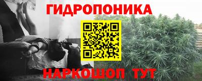 сатива Камышлов