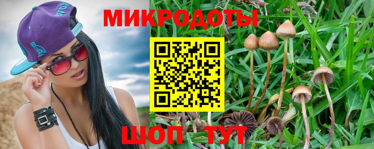 Галлюциногенные грибы Psilocybe  Вход с VPN  Карталы 